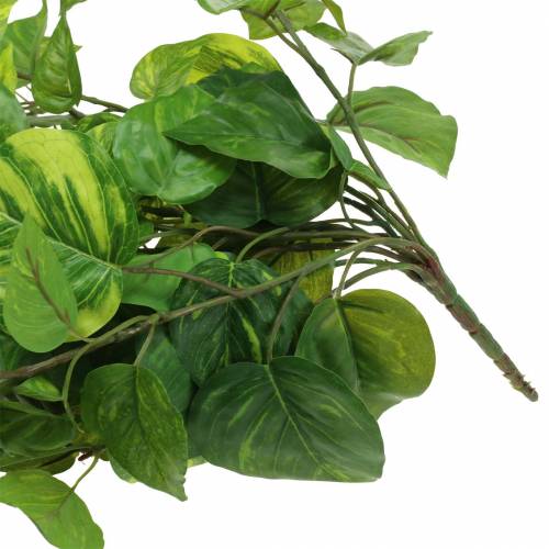 Article Cintre Philodendron 80cm