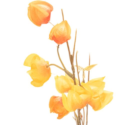 Branche artificielle de Physalis avec fleurs 95 cm en plastique et tissu orange | Floristik24.fr