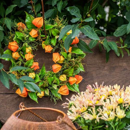 Article Couronne de Physalis artificielle orange, verte Ø28cm décoration automne