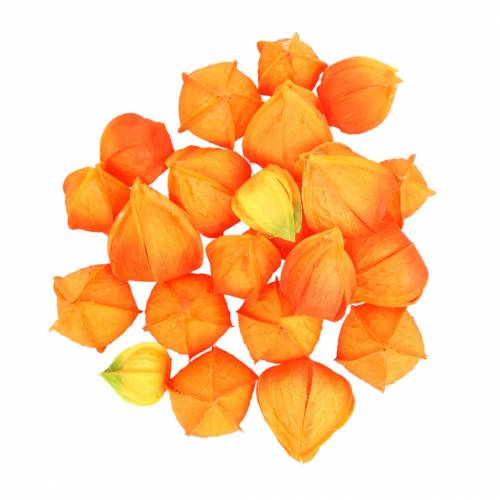 Floristik24 Physalis Orange Assortiment de 22 calices de fleurs artificielles décoratives