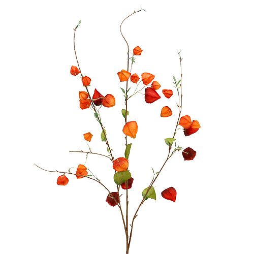 Floristik24 Branche de physalis 90cm Orange 3P