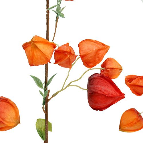 Floristik24 Branche de physalis 90cm Orange 3P