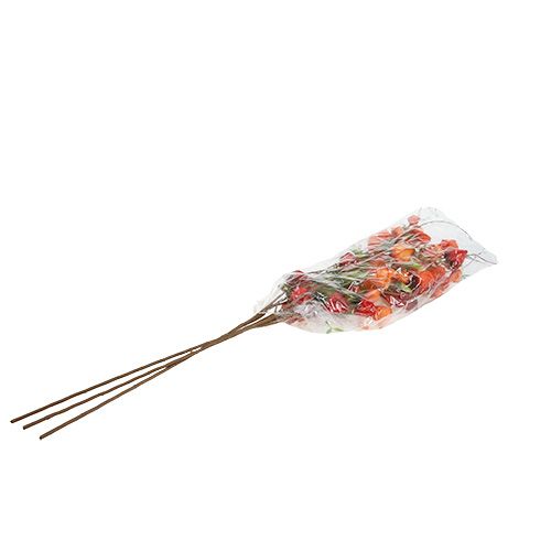 Floristik24 Branche de physalis 90cm Orange 3P