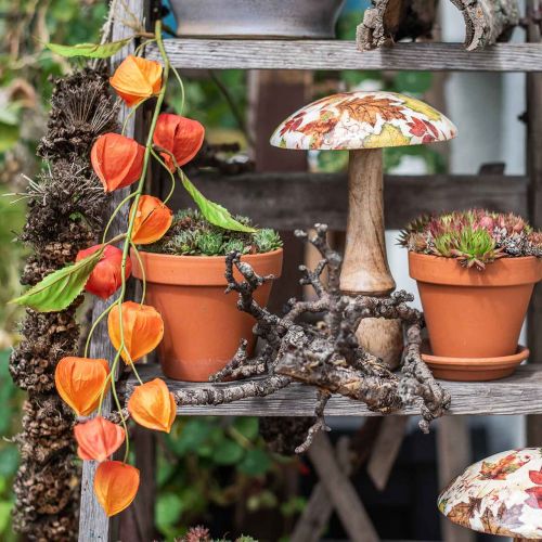 Floristik24 Branche Physalis orange artificielle 78cm