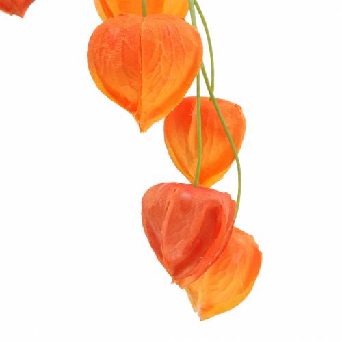 Floristik24 Branche Physalis orange artificielle 78cm