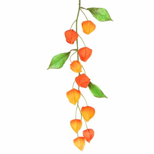 Floristik24 Branche Physalis orange artificielle 78cm