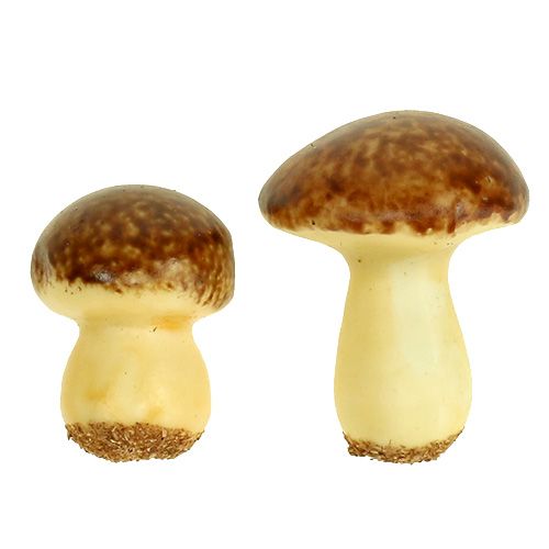 Article Mélange de champignons bruns 24 p.