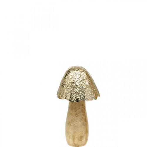 Achetez Objet décoratif Champignon Nature en ligne