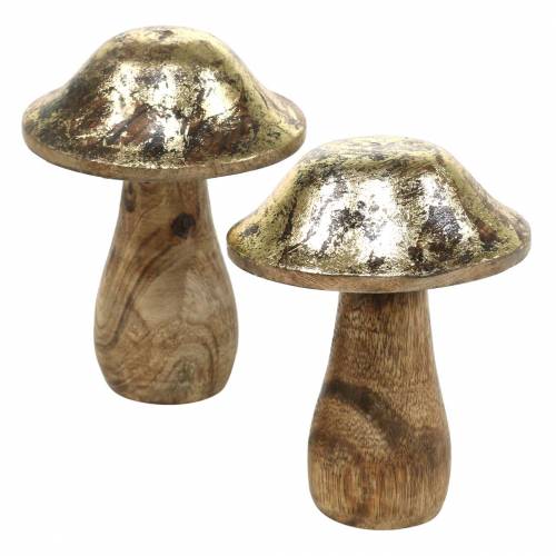 Floristik24 Champignon en bois doré, bois de manguier naturel Ø6.8cm H9.8cm 2pcs