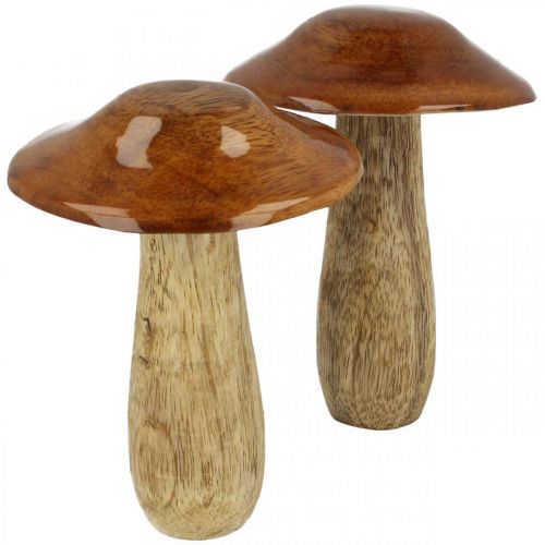 Floristik24 Champignon manguier marron, décoration de table nature automne Ø9cm H12cm 2pcs