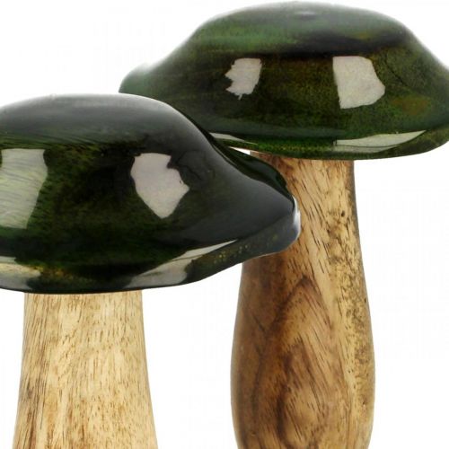 Floristik24 Décoration d'automne en bois de manguier vert champignon en bois Ø9cmH11cm 2pcs