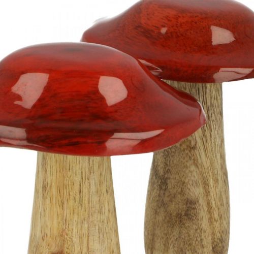 Floristik24 Champignon manguier rouge, décoration nature automne Ø9cm H12cm 2pcs