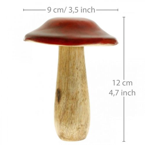 Floristik24 Champignon manguier rouge, décoration nature automne Ø9cm H12cm 2pcs