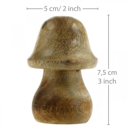 Floristik24 Champignon bois de manguier champignon en bois naturel décoration automne Ø5cm H7.5cm 6 pièces