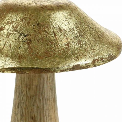 Floristik24 Champignon bois de manguier doré, champignons déco naturel grand Ø12cm H15cm 2pcs