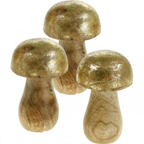 Floristik24 Champignon manguier doré, champignon naturel décoratif Ø6cm H10cm 4pcs