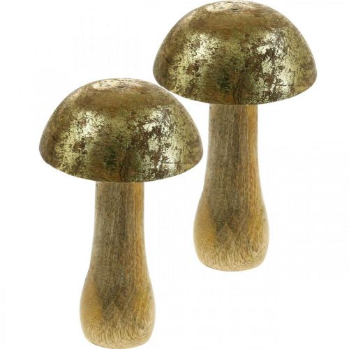 Floristik24 Champignon manguier doré, champignon naturel décoratif Ø9cm H15.5cm 2pcs