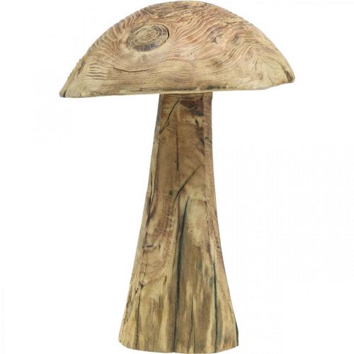 Floristik24 Champignon, bois de paulownia, automne, décoration bois Ø18–20cm H28cm