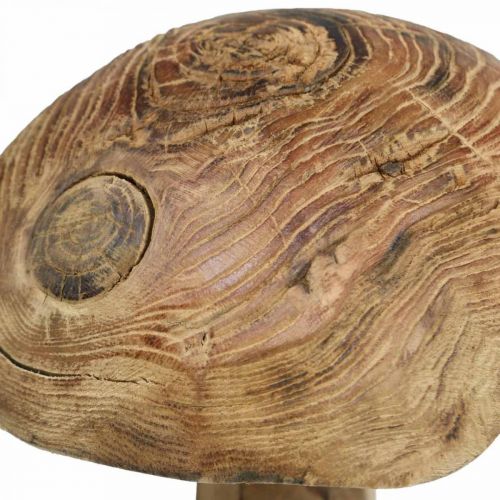 Floristik24 Champignon, bois de paulownia, automne, décoration bois Ø18–20cm H28cm