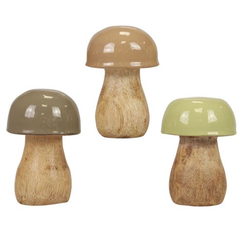 Floristik24 Champignons en bois champignons décoratifs bois beige, vert Ø5cm 7,5cm 12pcs