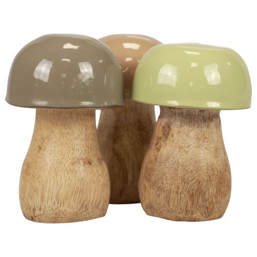 Floristik24 Champignons en bois champignons décoratifs bois beige, vert Ø5cm 7,5cm 12pcs