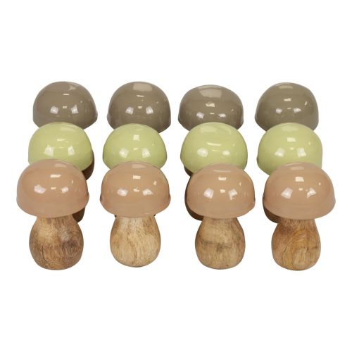 Floristik24 Champignons en bois champignons décoratifs bois beige, vert Ø5cm 7,5cm 12pcs