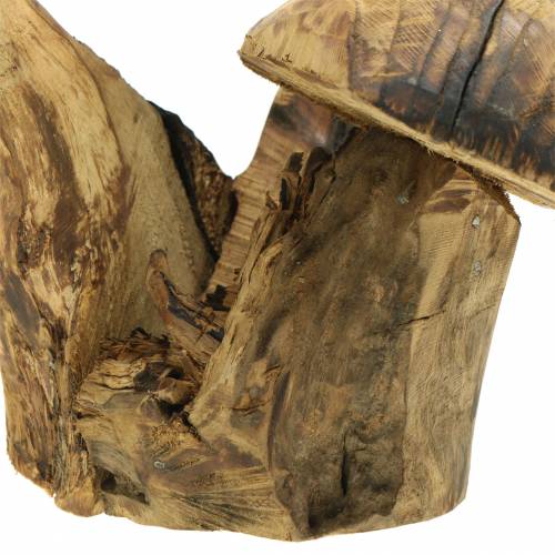 Floristik24 Champignons bois de prunier H27cm