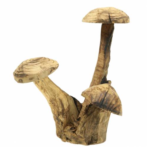 Floristik24 Champignons bois de prunier H27cm