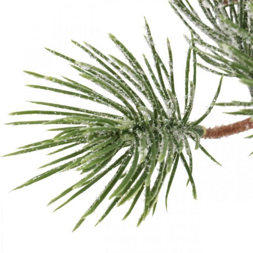 Floristik24 Branches de Noël branche de pin artificielle enneigée 30cm 6pcs