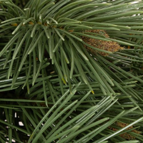 Lot de 3 branches de pin artificielles vertes 55 cm | Floristik24.fr
