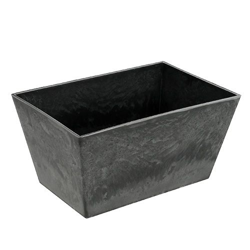 Floristik24 Bol carré en plastique anthracite 20,5cm x 13,5cm H10,5cm