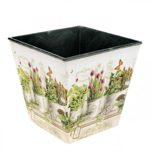 Pot à herbes, cache-pot avec motif, jardinière H13cm  L13.5cm-68273