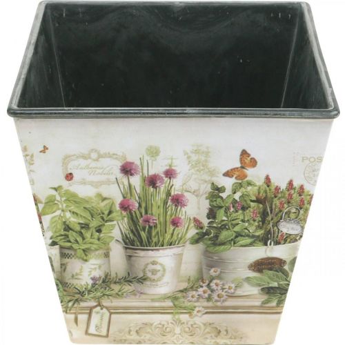 Article Pot à herbes, jardinière avec motif, jardinière H13cm L13,5cm