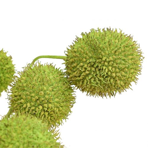 Floristik24 Avion fruit vert 200g