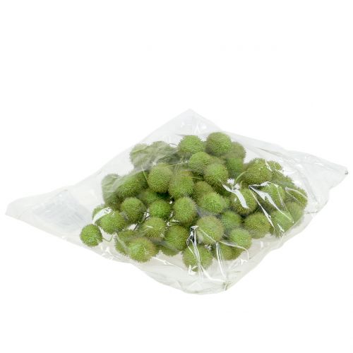 Floristik24 Avion fruit vert 200g