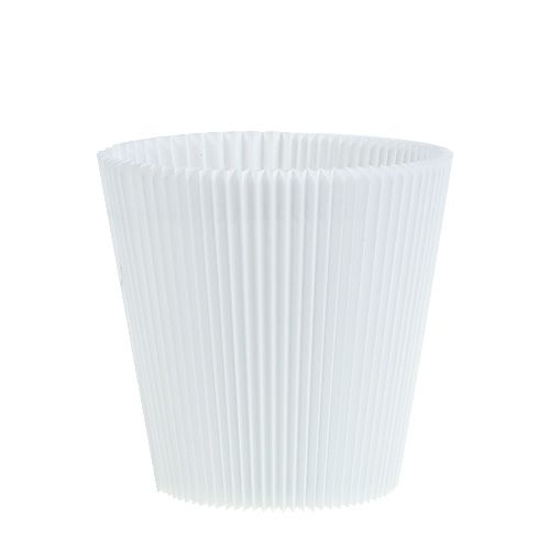 Poignets plissés blanc 12.5cm 100p
