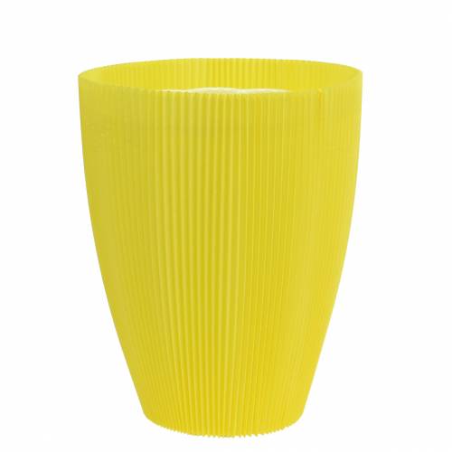 Article Poignets plissés jaune 14,5cm 100 pièces