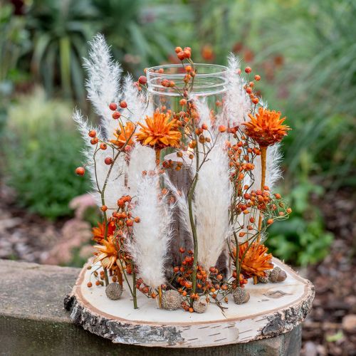 Article Protées séchées Fleurs Plumosum Orange 3-6cm 25 pcs