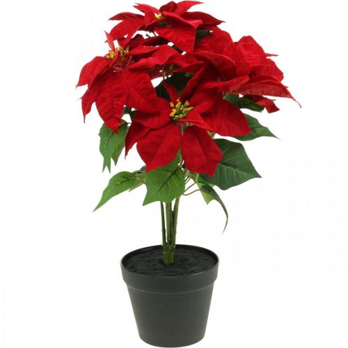 Étoile de Noël artificielle Rouge Fleurs artificielles en pot H53cm