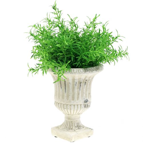 Floristik24 Coupe plante crème antique Ø14cm H17cm