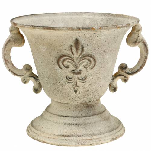 Floristik24 Trophée Bol Vintage Crème Ø15cm H13.5cm
