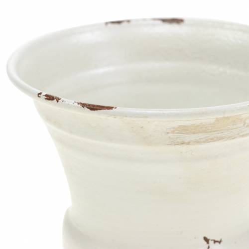 Floristik24 Coupe à Plantes Calice Crème Antique Ø7.5cm H9cm 1 pc