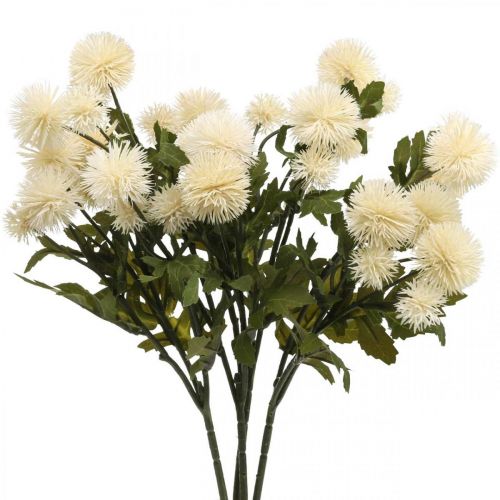 Floristik24 Pompon branche crème déco branche automne 55cm 4pcs