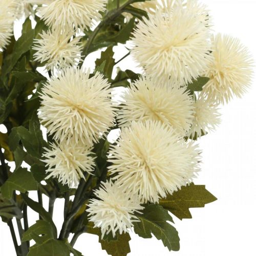 Floristik24 Pompon branche crème déco branche automne 55cm 4pcs