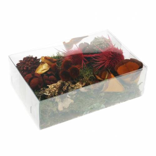 Floristik24 Mélange de fleurs à sec avec cônes et mousse rouge 150g décoration d'automne