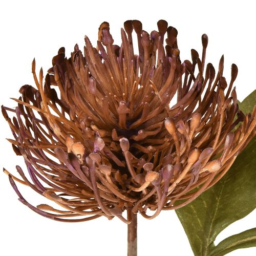 Article Coussin à épingles artificiel Protea Leucospermum violet 30 cm 6 pièces