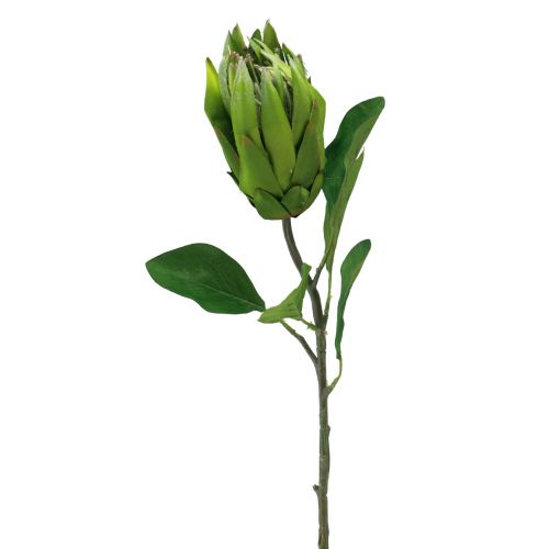 Floristik24 Protea Fleur Artificielle Vert Rouge Branche Artificielle L65cm Ø5.5cm