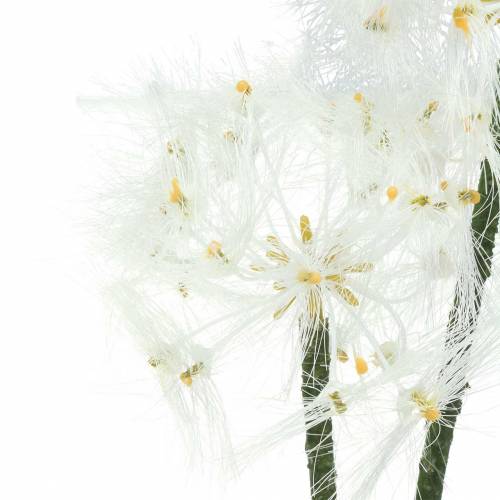 Floristik24 Fleur artificielle Salsifis des prés Blanc 57cm
