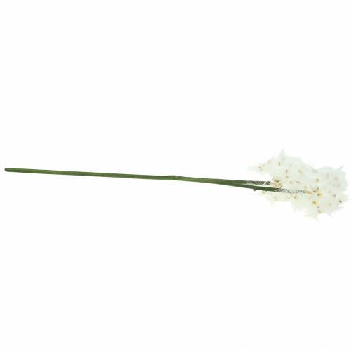 Floristik24 Fleur artificielle Salsifis des prés Blanc 57cm