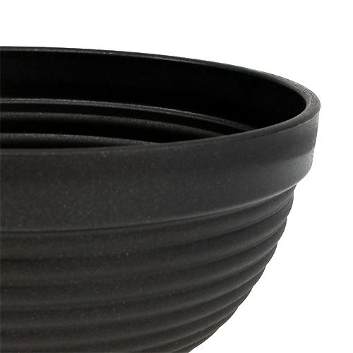 Article Bol R en plastique anthracite Ø15 cm, 10 pièces
